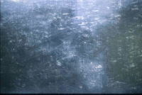 https://www.dudesek.ch/files/gimgs/th-41_blue sheet.jpg